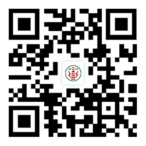 http://www.xhlsm.com專(zhuān)業(yè)承接煙囪拆除,人工拆除煙囪專(zhuān)業(yè)公司等各類(lèi)高空工程。