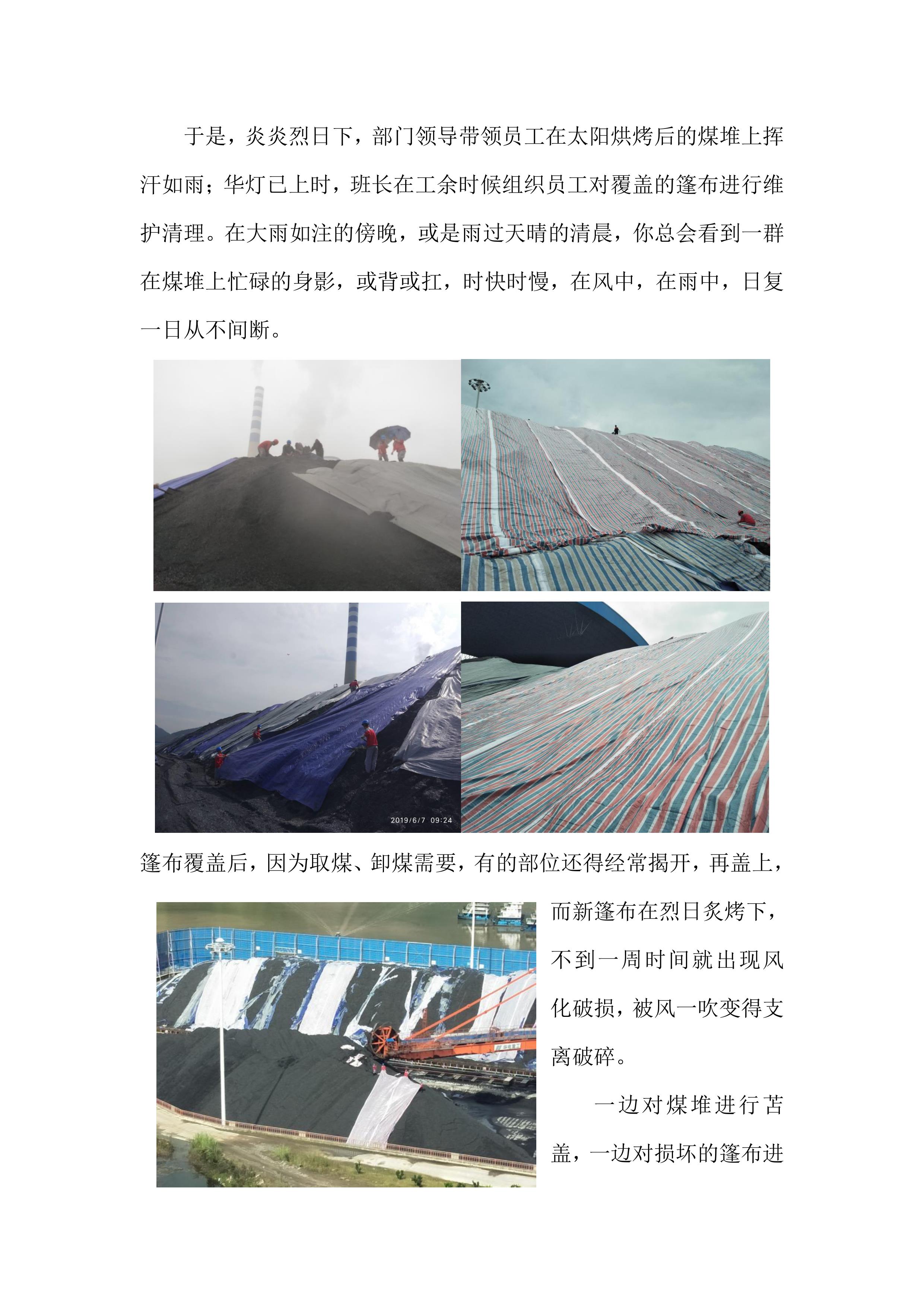 奉節(jié)電廠煤場